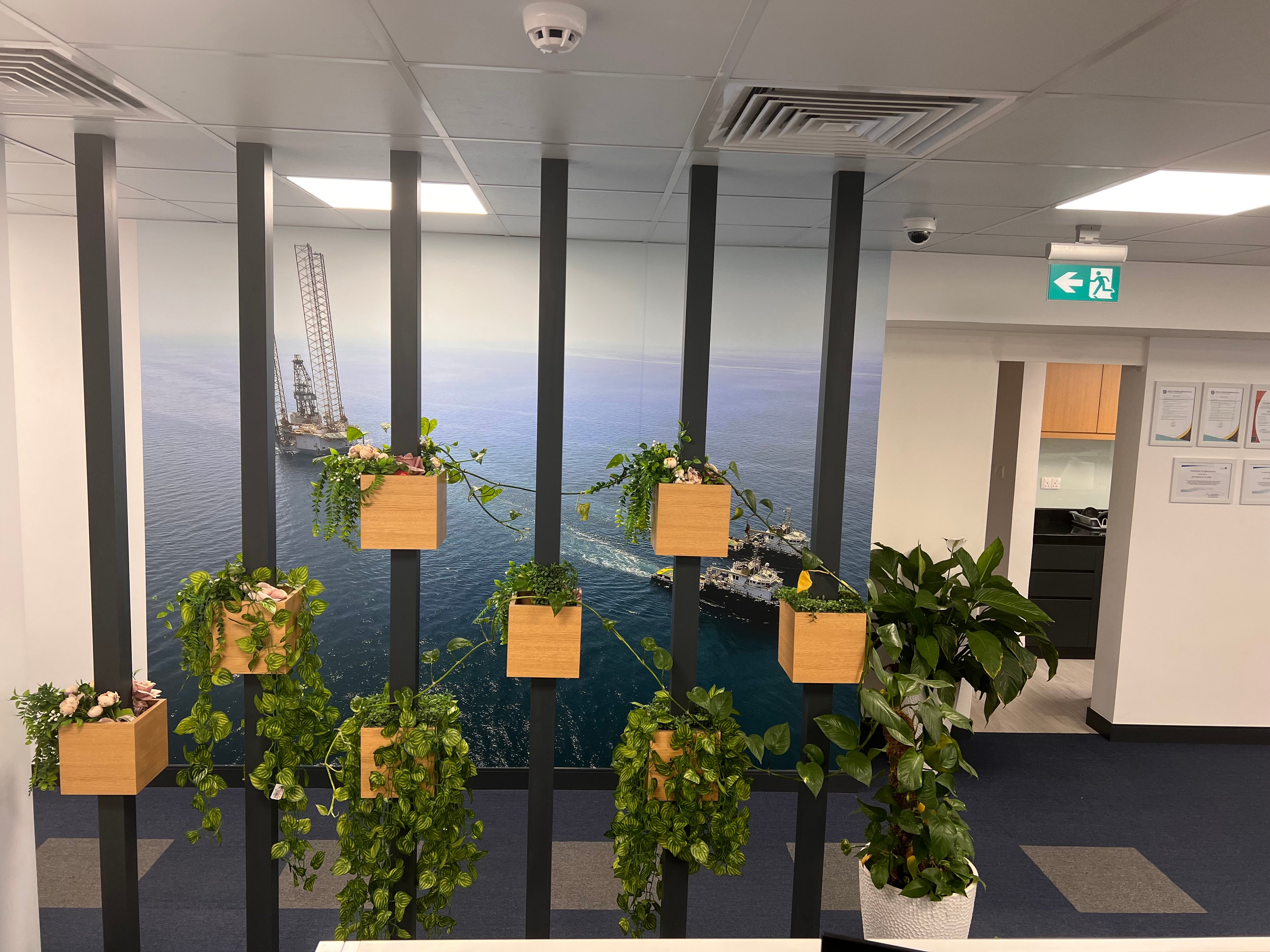 6. Dubai Office-1