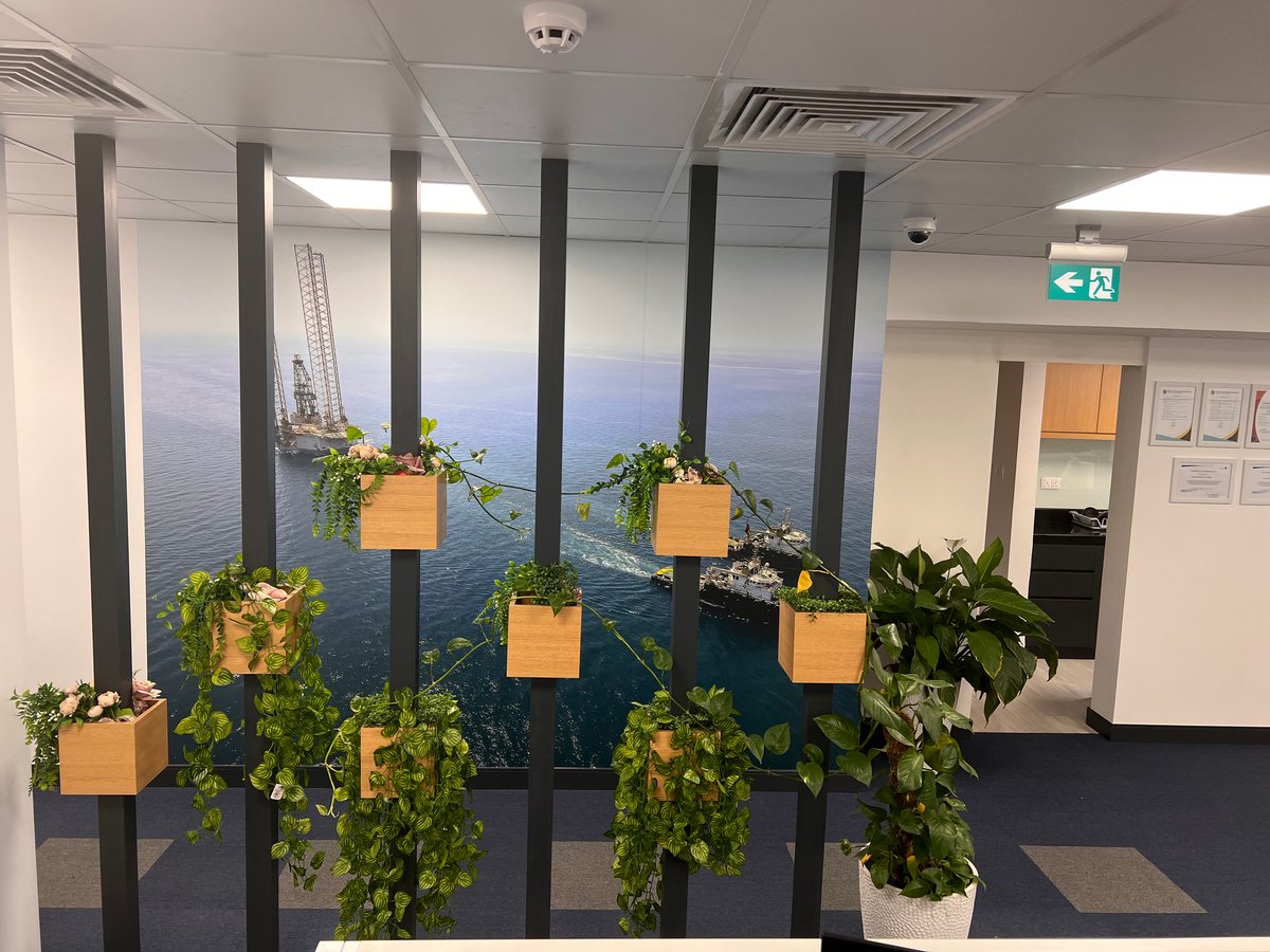 6. Dubai Office-1